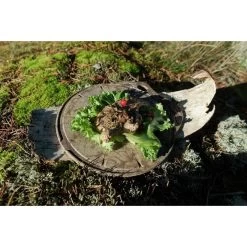 Kupilka Kaarna M - Planche à Découper-Original (Marron) -Robens Soldes kupilka kaarna m planche a decouper original marron 2